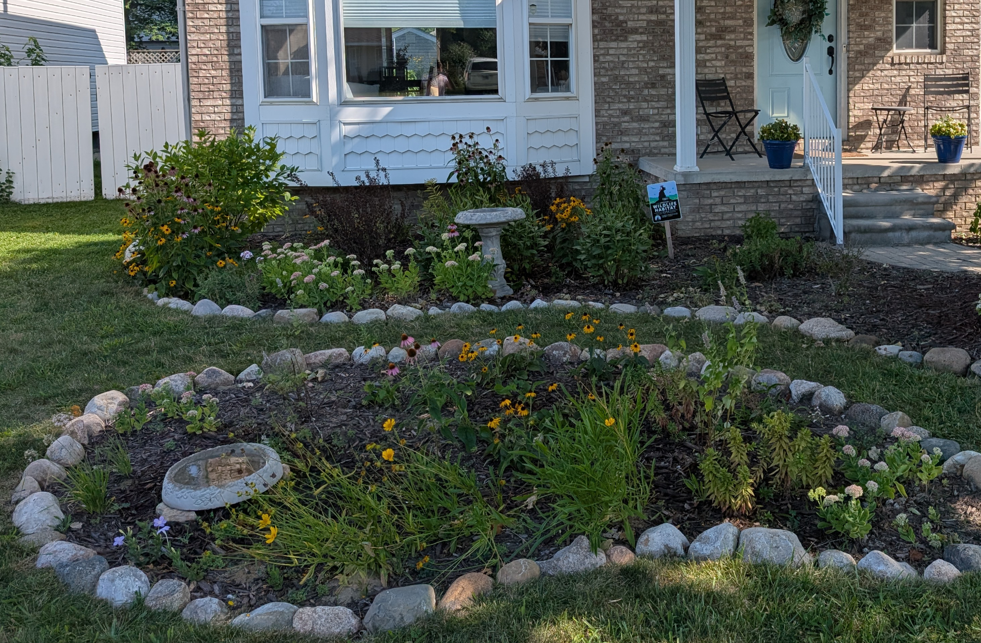 Two landscaping beds outlined with rocks in front of a house, separated by a strip of grass between them. Each bed has a birdbath and is filled with a variety of plants. The bed closer to the camera has a variety of plants in bloom, including Lanceleaf Coreopsis, Purple Coneflowers, Black-Eyed Susans, Anise Hyssop, and Wild Petunias.